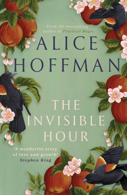 Invisible Hour - Alice Hoffman