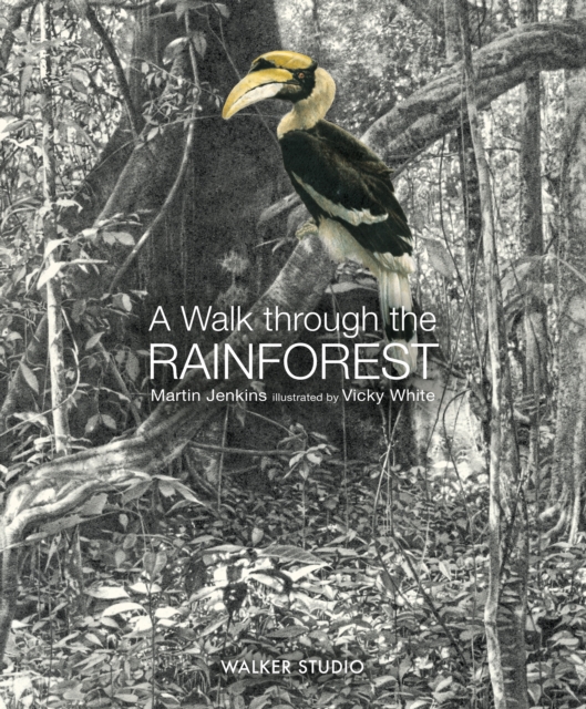 Walk Through the Rainforest - Martin Jenkins