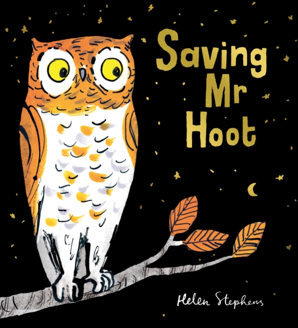 Saving Mr Hoot PB - Helen Stephens