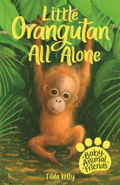 Baby Animal Friends: Little Orangutan All Alone - Tilda Kelly