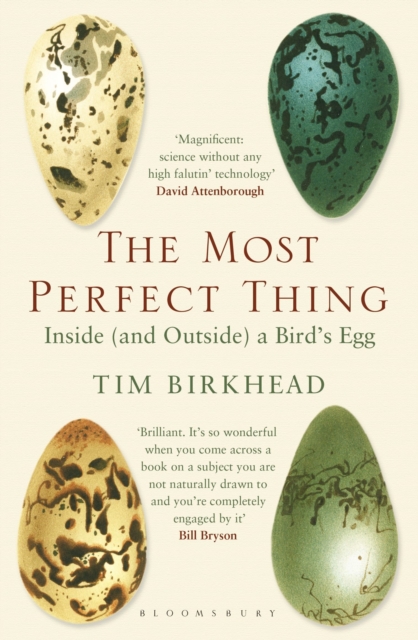 Most Perfect Thing - Tim Birkhead