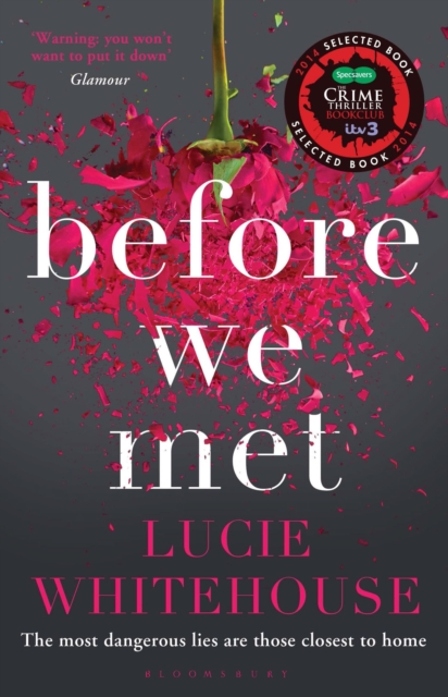 Before We Met - Lucie Whitehouse