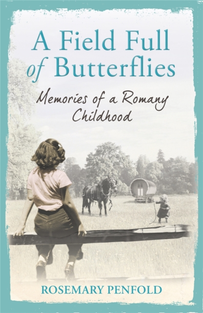 Field Full of Butterflies - Rosemary Penfold