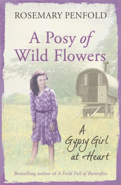 Posy of Wild Flowers - Rosemary Penfold