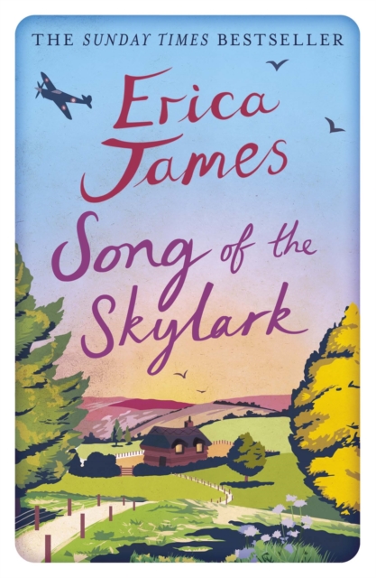 Song of the Skylark - Erica James