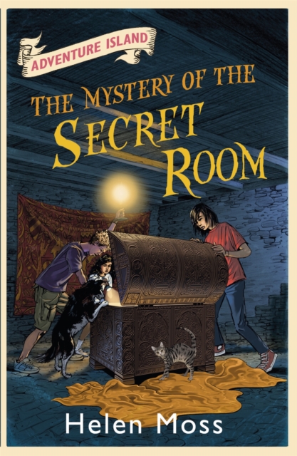 Adventure Island: The Mystery of the Secret Room - Helen Moss