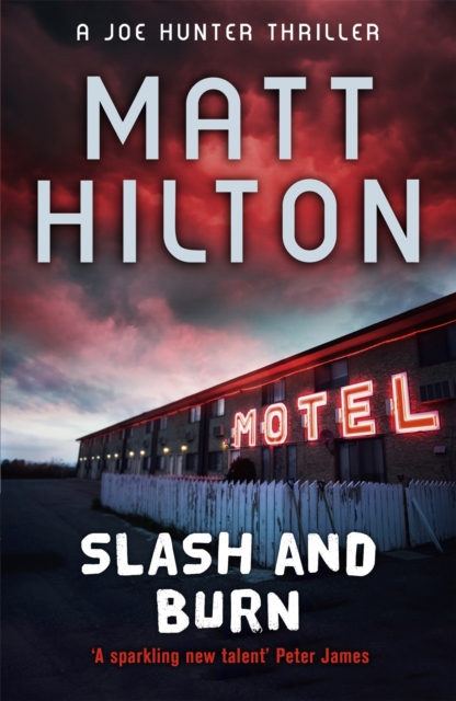Slash and Burn - Matt Hilton