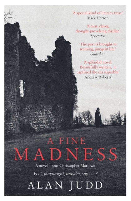 Fine Madness - Alan Judd