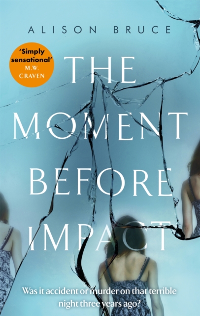 Moment Before Impact - Alison Bruce