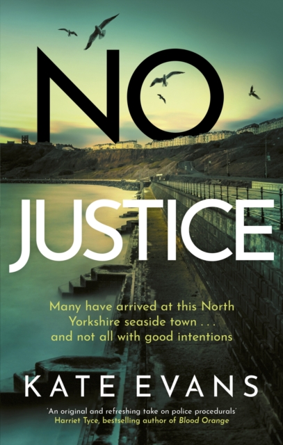 No Justice - Kate Evans