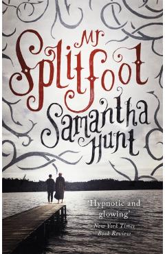 Coperta cărții 'Mr Splitfoot - Samantha Hunt'