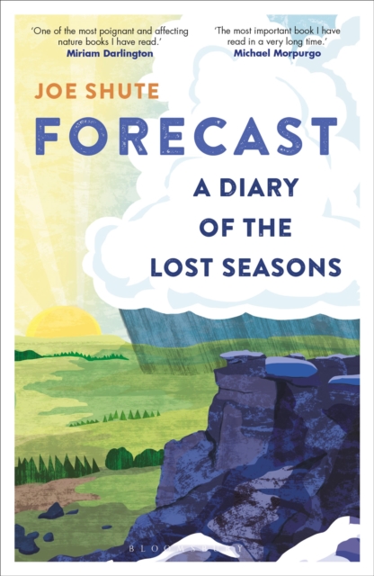 Forecast - Joe Shute