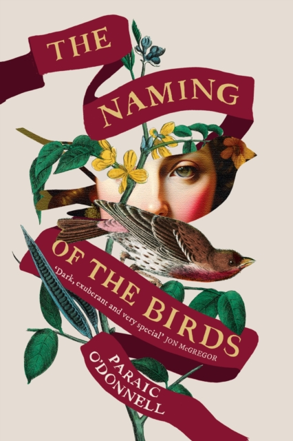 Naming of the Birds - Paraic O'donnell