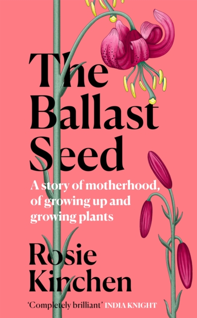 Ballast Seed - Rosie Kinchen