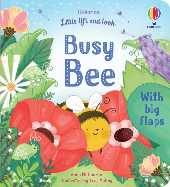 Little Lift and Look Busy Bee - Anna Milbourne