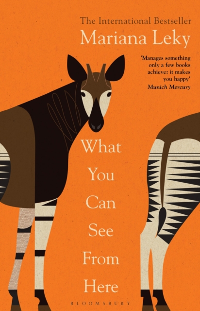 What You Can See From Here - Mariana Leky