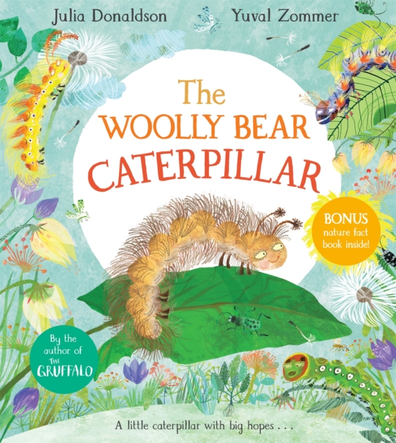 Woolly Bear Caterpillar - Julia Donaldson