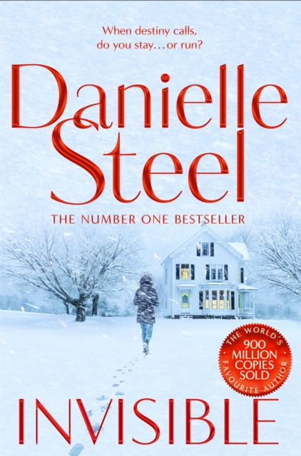 Invisible - Danielle Steel