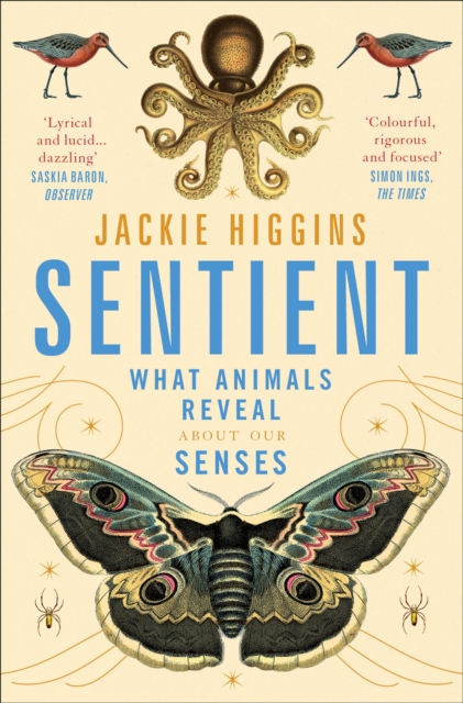 Sentient - Jackie Higgins