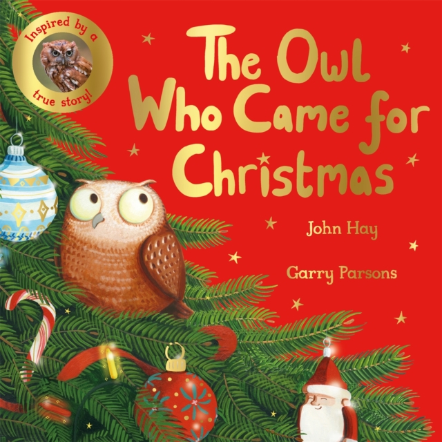 Owl Who Came for Christmas - John Hay