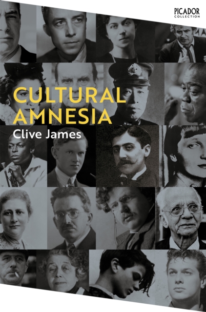 Cultural Amnesia - Clive James