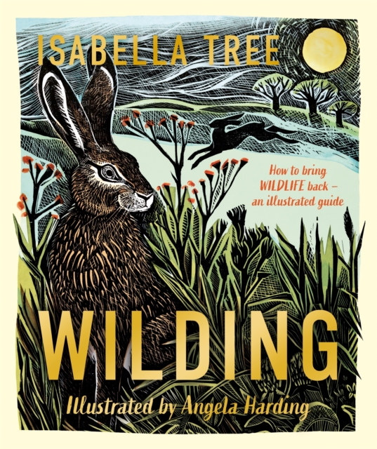 Wilding: How to Bring Wildlife Back - an Illustrated Guide - Isabella Tree