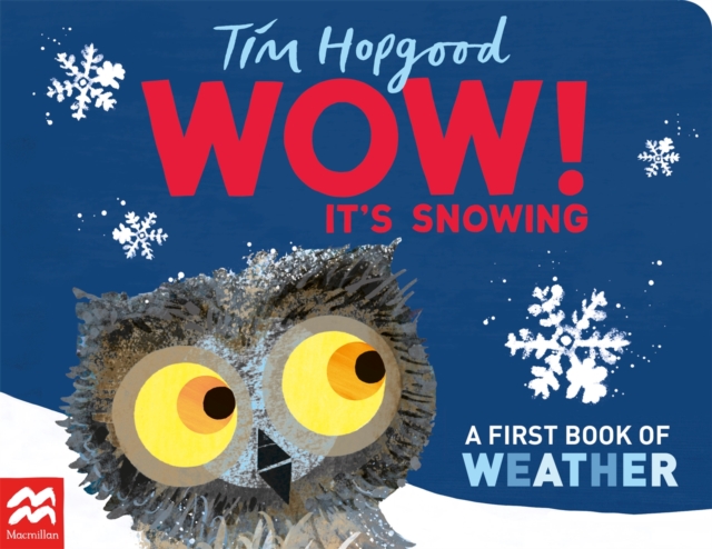 WOW! It's Snowing - Tim Hopgood