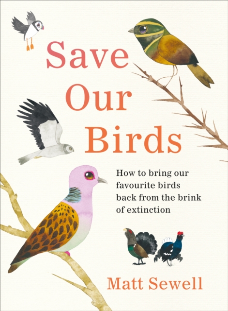 Save Our Birds - Matt Sewell