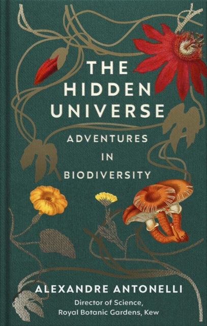 Hidden Universe - Alexandre Antonelli