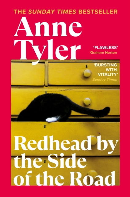 Redhead by the Side of the Road - Anne Tyler