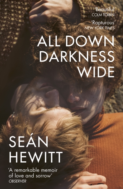 All Down Darkness Wide - Sean Hewitt