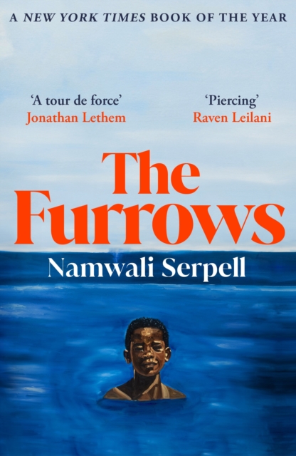 Furrows - Namwali Serpell