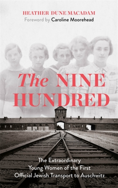 Nine Hundred - Heather Dune|moorehead Macadam