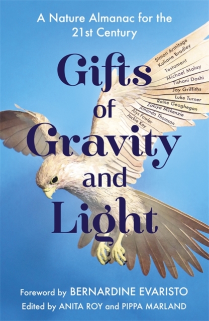 Gifts of Gravity and Light - Anita|marland Roy