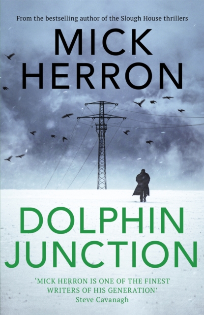 Dolphin Junction - Mick Herron