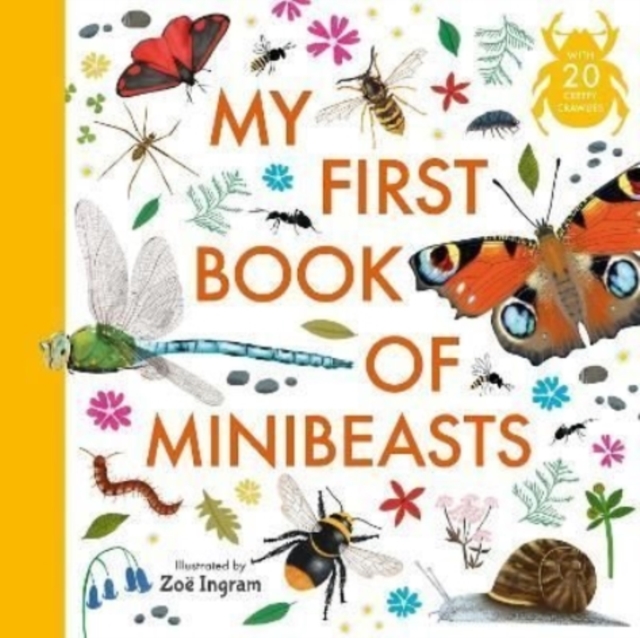 My First Book of Minibeasts - 