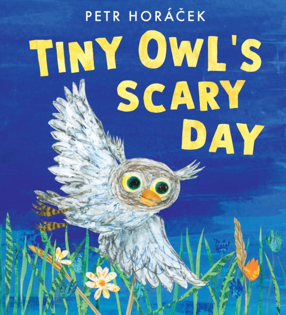 Tiny Owl's Scary Day - Petr Horacek