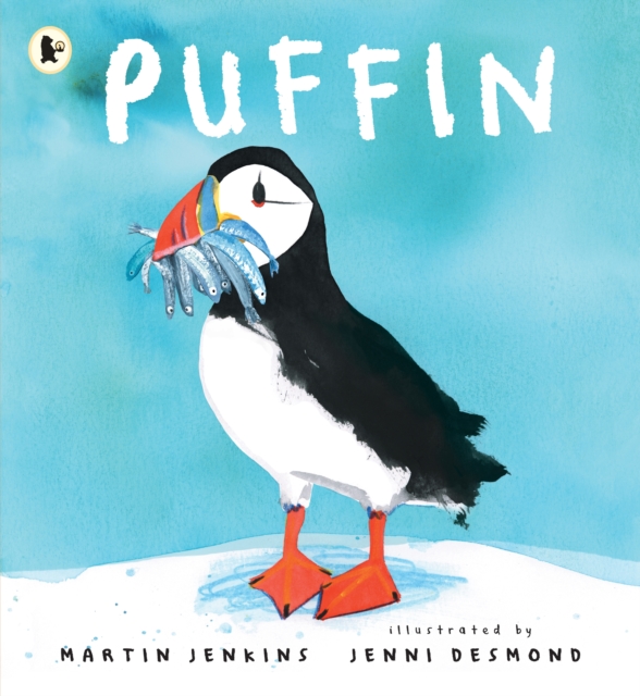 Puffin - Martin Jenkins