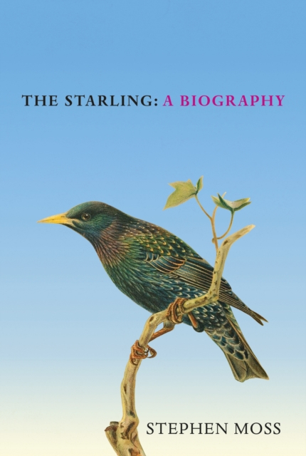 Starling - Stephen Moss