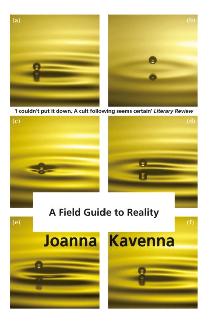 Field Guide to Reality - Joanna Kavenna