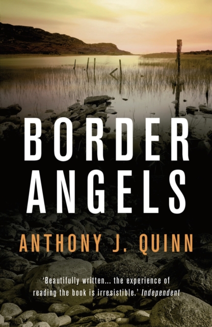 Border Angels - Anthony J. Quinn