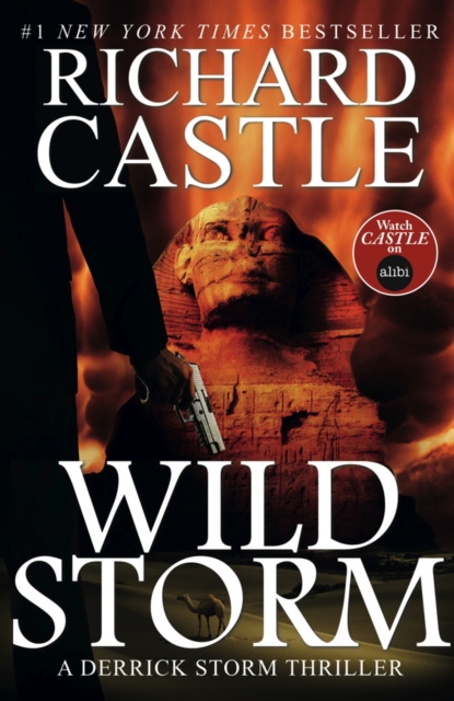 Wild Storm - Richard Castle