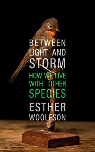 Between Light and Storm - Esther Woolfson