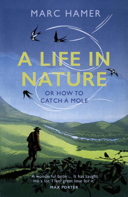 Life in Nature - Marc Hamer