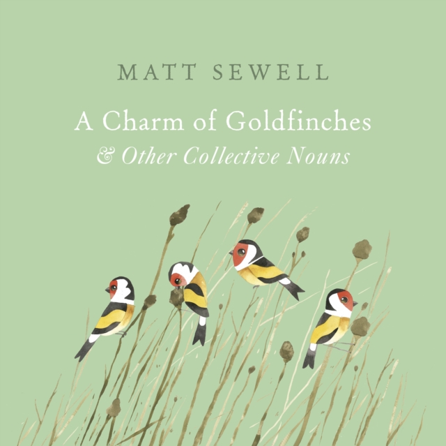 Charm of Goldfinches and Other Collective Nouns - Matt Sewell