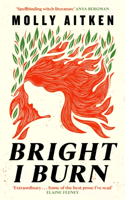 Bright I Burn - Molly Aitken