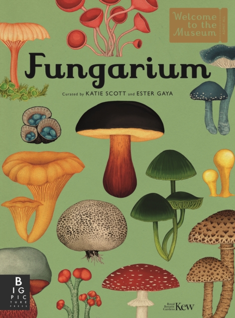 Fungarium - Ester Royal Botanic Gardens Kew|gaya