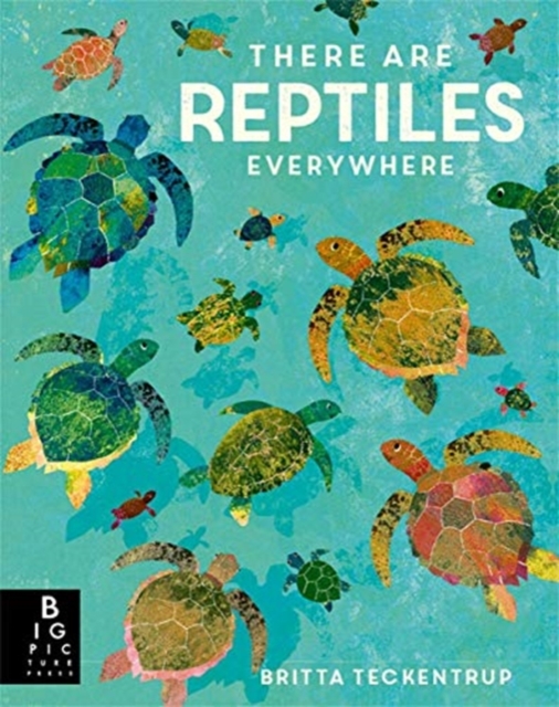 There are Reptiles Everywhere - Camilla De La Bedoyere