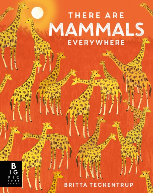 There are Mammals Everywhere - Camilla De La Bedoyere