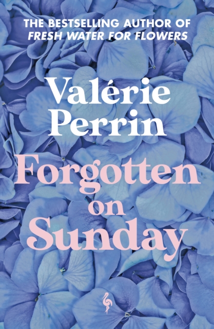 Forgotten on Sunday - Valerie Perrin